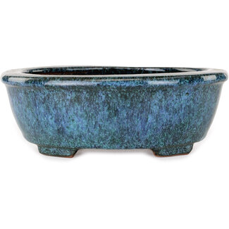  Shuuhou (Hidemi Kataoka) Ovale groene en blauwe bonsaipot van 195 mm van Shuhou, Tokoname, Japan