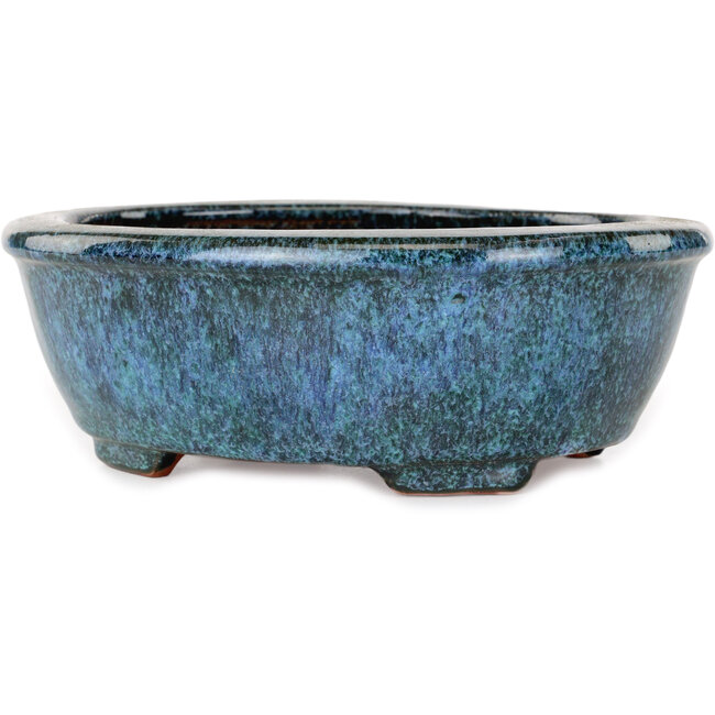 Oval green and blue bonsai pot by Shuhou - 195 x 165 x 70 mm