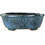 Pot à bonsaï ovale vert et bleu de Shuhou - 195 x 165 x 70 mm