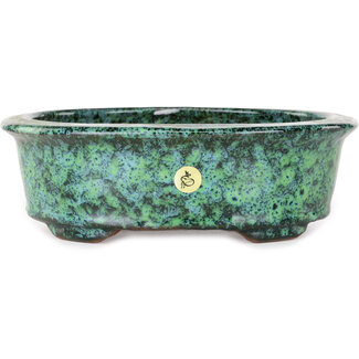  Shuuhou (Hidemi Kataoka) Vaso bonsai verde ovale da 195 mm di Shuhou, Tokoname, Giappone