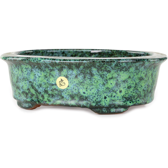 Ovaler grüner Bonsai-Topf von Shuhou – 195 x 163 x 63 mm