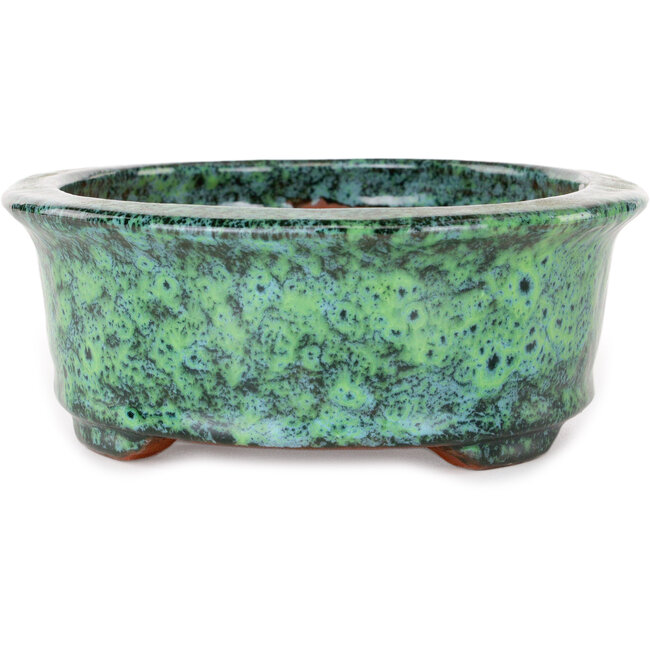 Pot ovale vert pour bonsaï de Shuhou - 195 x 163 x 63 mm