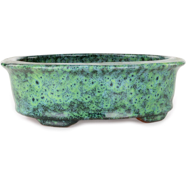Ovale groene bonsaipot van Shuhou - 195 x 163 x 63 mm
