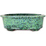 Oval green bonsai pot by Shuhou - 195 x 163 x 63 mm
