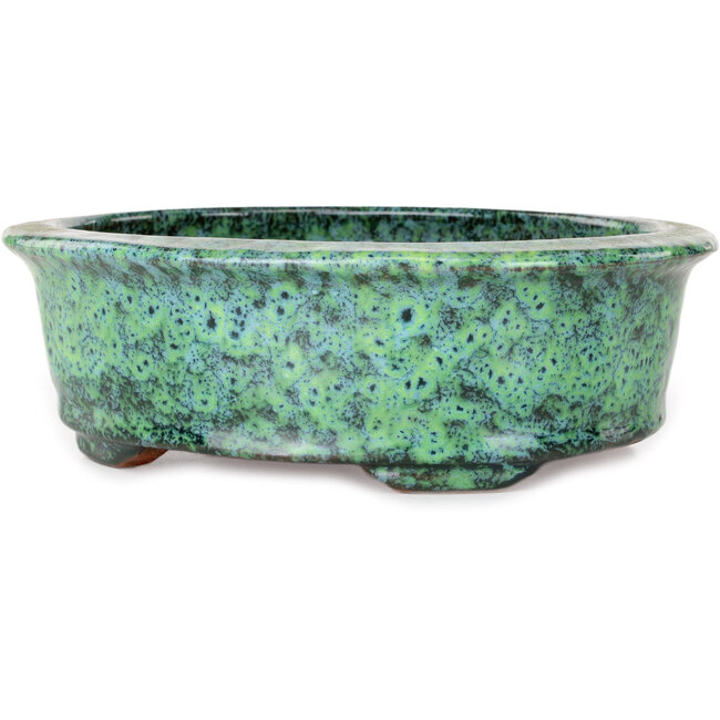 Ovaler grüner Bonsai-Topf von Shuhou – 195 x 163 x 63 mm