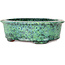 Oval green bonsai pot by Shuhou - 195 x 163 x 63 mm