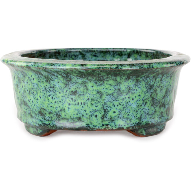 Pot ovale vert pour bonsaï de Shuhou - 195 x 163 x 63 mm