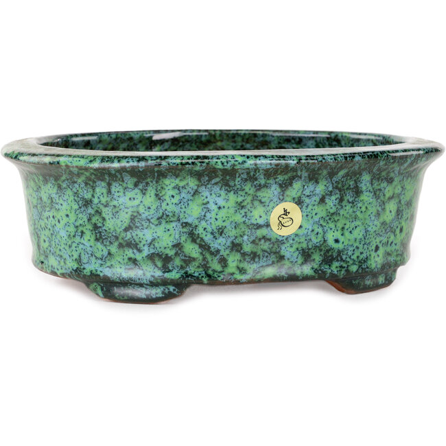 Ovaler grüner Bonsai-Topf von Shuhou – 195 x 163 x 63 mm