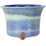 Round blue and yellow bonsai pot by Shuhou - 225 x 225 x 150 mm