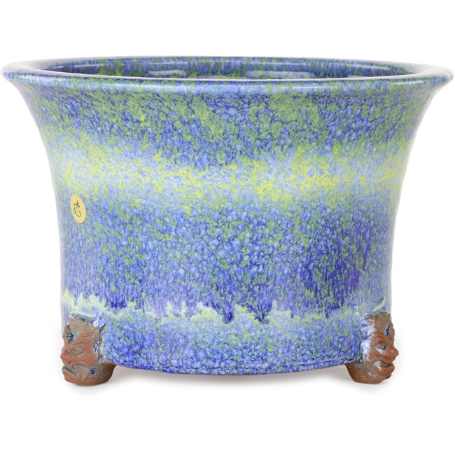 Ronde blauw-gele bonsaipot van Shuhou - 225 x 225 x 150 mm