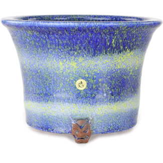  Shuuhou (Hidemi Kataoka) Runder, blau-gelber Bonsai-Topf (223 mm) von Shuhou, Tokoname, Japan