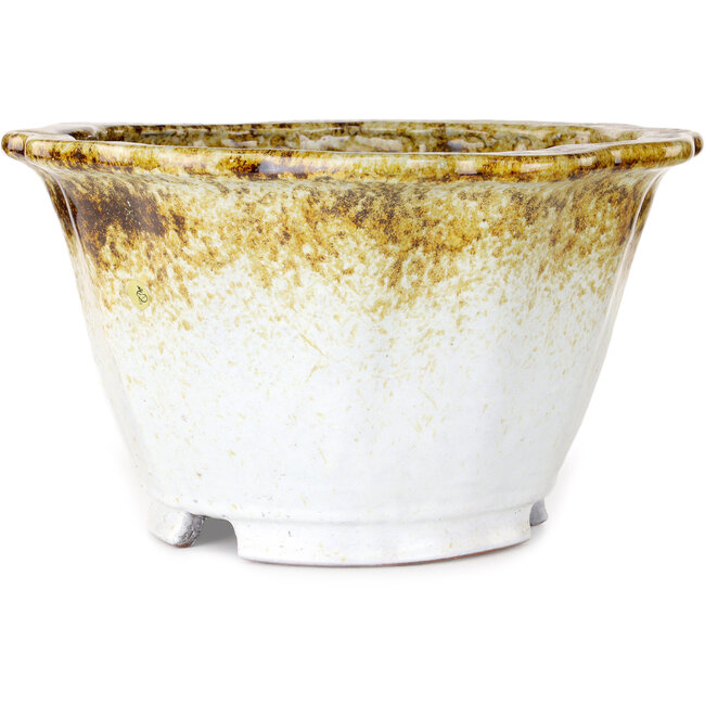 Pot à bonsaï Lotus blanc et brun de Shuhou - 330 x 330 x 195 mm