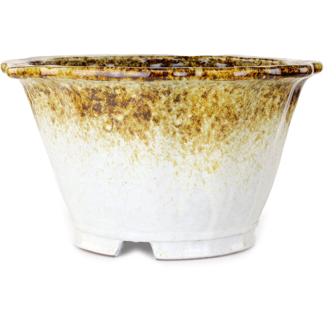 Vaso bonsai Lotus bianco e marrone di Shuhou - 330 x 330 x 195 mm