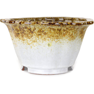  Shuuhou (Hidemi Kataoka) Pot à bonsaï lotus blanc et brun de 317 mm, par Shuhou, Tokoname, Japon
