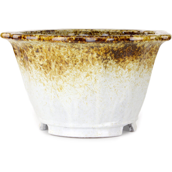 Lotus witte en bruine bonsaipot van Shuhou - 330 x 330 x 195 mm