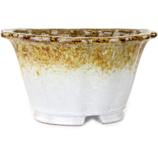 Lotus witte en bruine bonsaipot van Shuhou - 317 x 317 x 174 mm