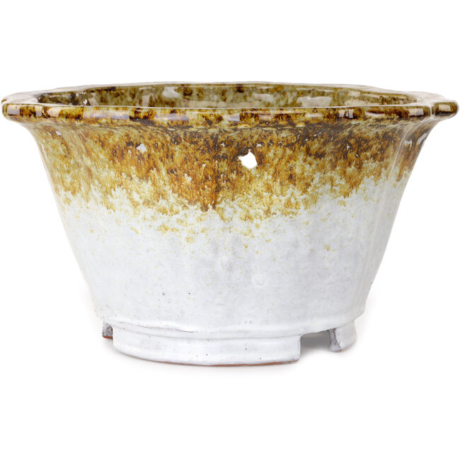 Lotus white and brown bonsai pot by Shuhou - 317 x 317 x 174 mm