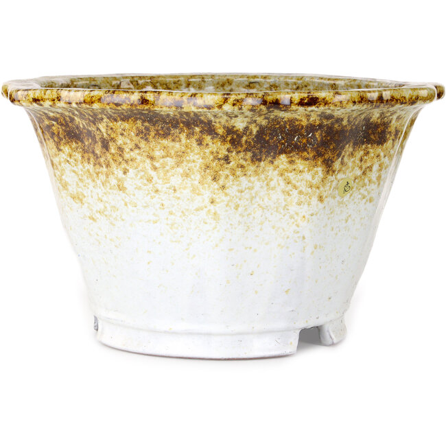 Pot à bonsaï Lotus blanc et brun de Shuhou - 330 x 330 x 195 mm