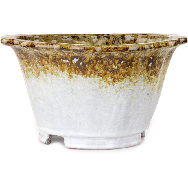 Lotus white and brown bonsai pot by Shuhou - 317 x 317 x 174 mm