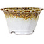 Vaso bonsai Lotus bianco e marrone di Shuhou - 317 x 317 x 174 mm
