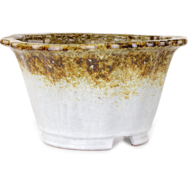 Lotus white and brown bonsai pot by Shuhou - 317 x 317 x 174 mm