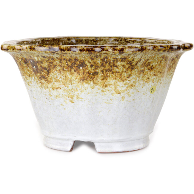 Lotus white and brown bonsai pot by Shuhou - 317 x 317 x 174 mm