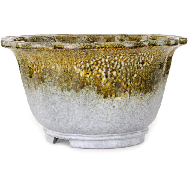 Pot à bonsaï Lotus blanc et brun de Shuhou - 343 x 343 x 193 mm