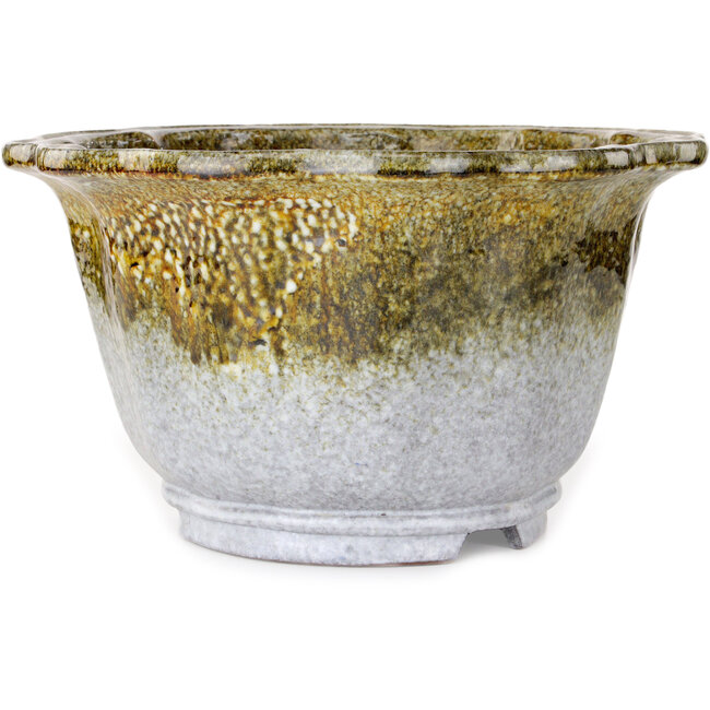 Lotus white and brown bonsai pot by Shuhou - 343 x 343 x 193 mm