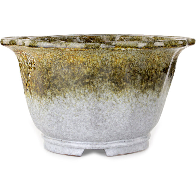 Vaso bonsai Lotus bianco e marrone di Shuhou - 343 x 343 x 193 mm