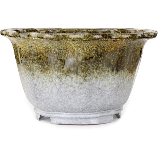 Vaso bonsai Lotus bianco e marrone di Shuhou - 343 x 343 x 193 mm