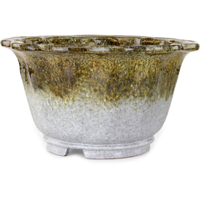 Vaso bonsai Lotus bianco e marrone di Shuhou - 343 x 343 x 193 mm