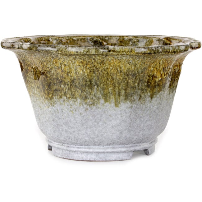 Lotus-Bonsaischale in Weiß und Braun von Shuhou – 343 x 343 x 193 mm