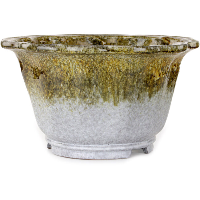 Vaso bonsai Lotus bianco e marrone di Shuhou - 343 x 343 x 193 mm