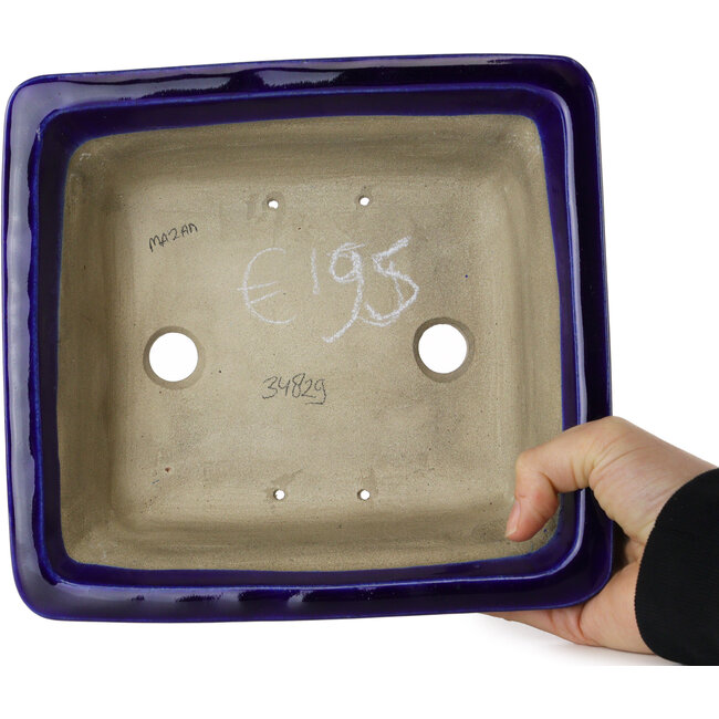 Rectangular blue bonsai pot by Mazan - 223 x 206 x 85 mm
