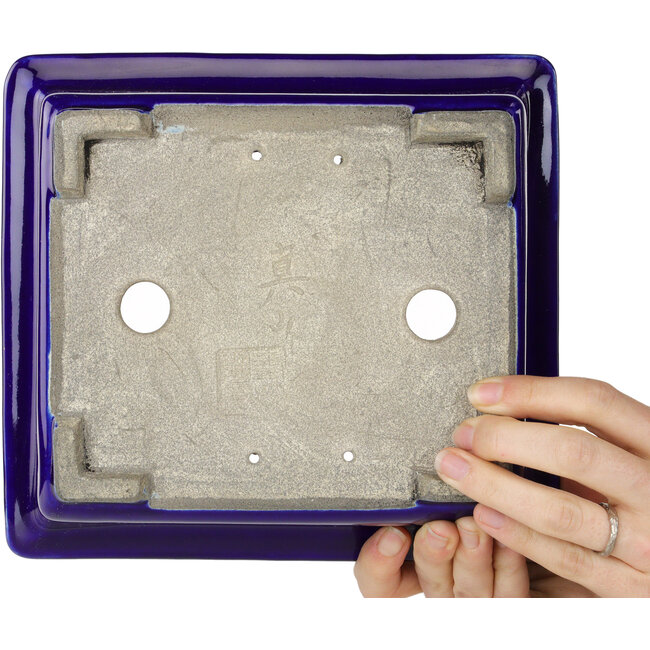 Pot à bonsaï rectangulaire bleu de Mazan - 223 x 206 x 85 mm