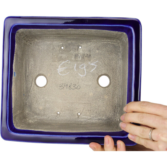 Pot à bonsaï rectangulaire bleu de Mazan - 223 x 206 x 85 mm
