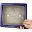 Pot à bonsaï rectangulaire bleu de Mazan - 223 x 206 x 85 mm