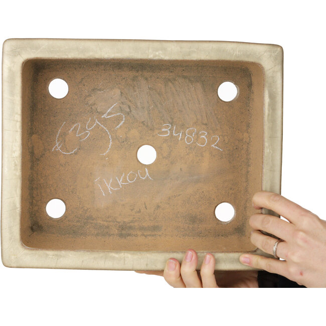 Rechteckiger beigefarbener Bonsai-Topf von Ikkou – 298 x 247 x 98 mm
