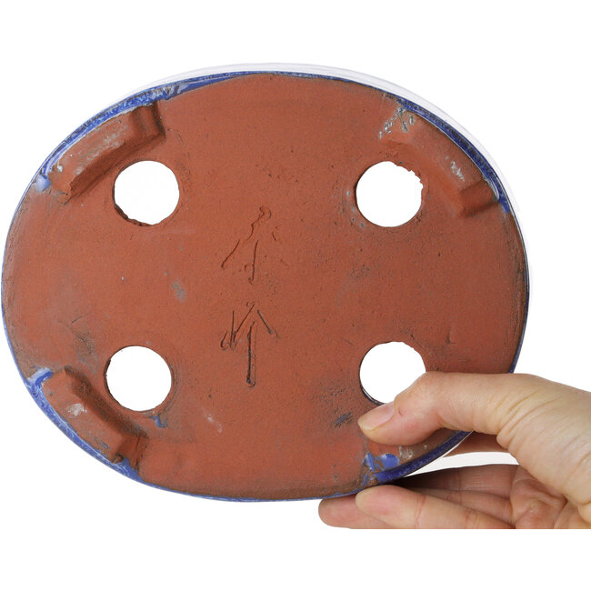 Pot à bonsaï ovale bleu de Shuhou - 190 x 157 x 58 mm