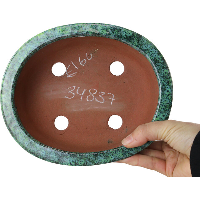 Oval green bonsai pot by Shuhou - 195 x 163 x 63 mm