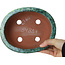 Maceta ovalada verde para bonsái de Shuhou - 195 x 163 x 63 mm