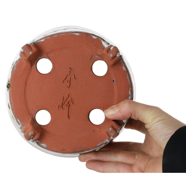 Pot à bonsaï rond blanc et marron de Shuhou - 160 x 160 x 110 mm