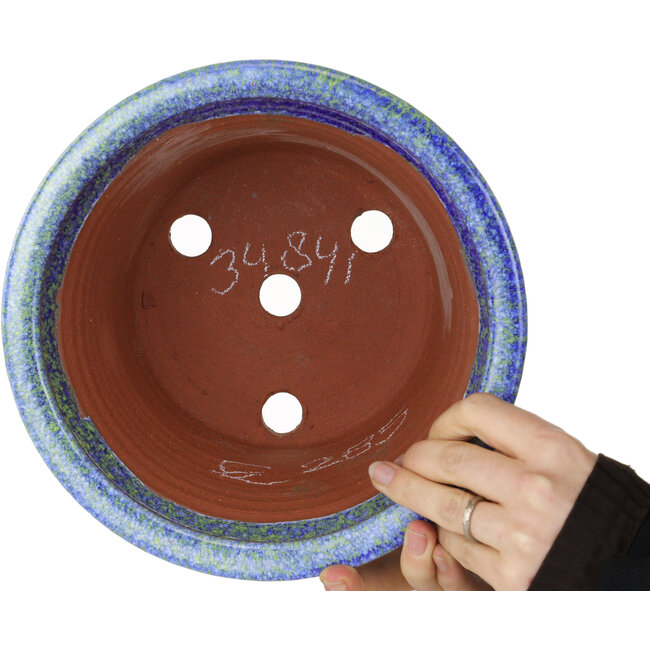 Round blue and yellow bonsai pot by Shuhou - 225 x 225 x 150 mm