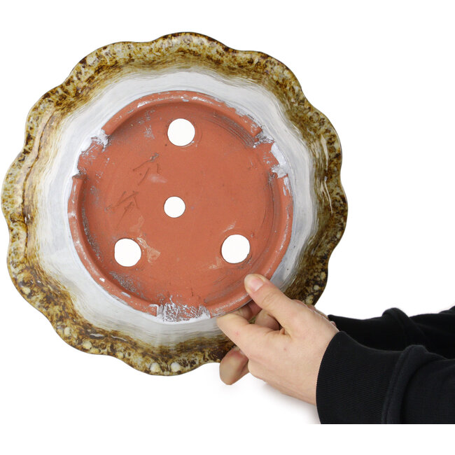 Vaso bonsai Lotus bianco e marrone di Shuhou - 317 x 317 x 174 mm