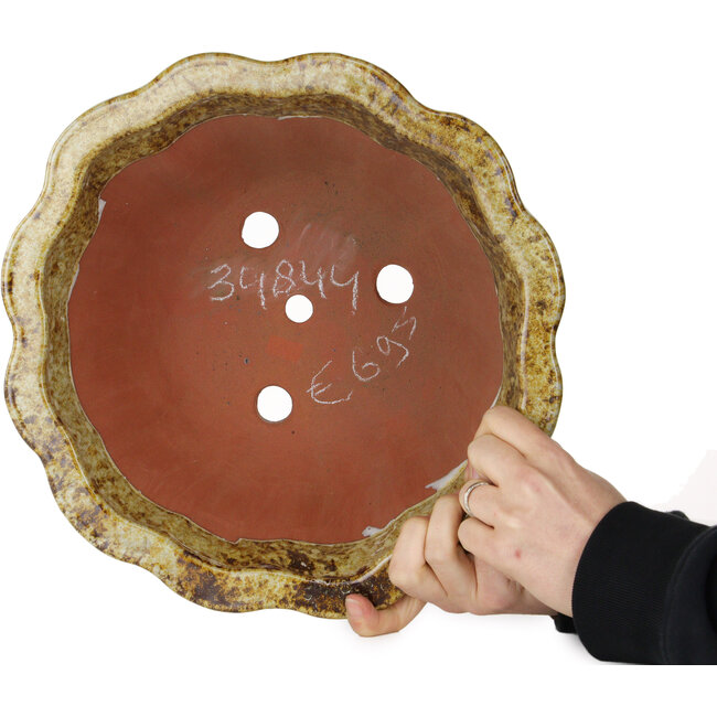 Lotus-Bonsaischale in Weiß und Braun von Shuhou – 317 x 317 x 174 mm