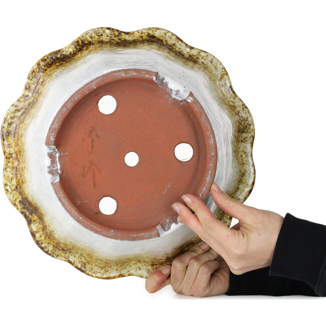 Lotus-Bonsaischale in Weiß und Braun von Shuhou – 330 x 330 x 195 mm