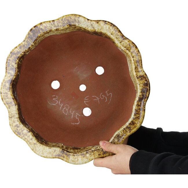 Vaso bonsai Lotus bianco e marrone di Shuhou - 330 x 330 x 195 mm