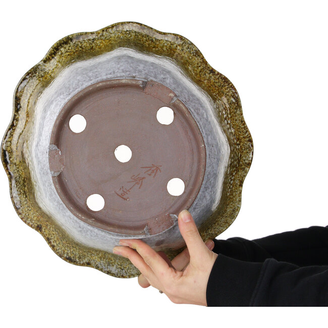 Pot à bonsaï Lotus blanc et brun de Shuhou - 343 x 343 x 193 mm