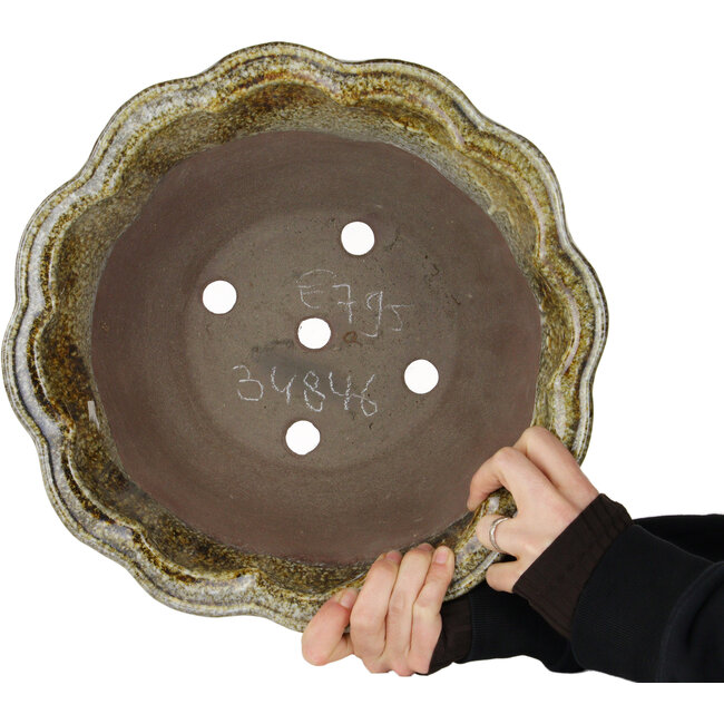 Pot à bonsaï Lotus blanc et brun de Shuhou - 343 x 343 x 193 mm