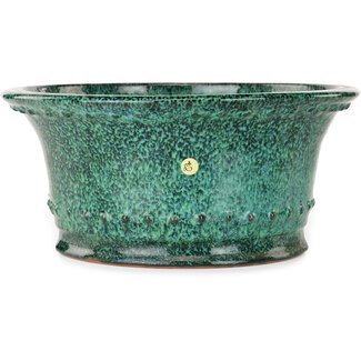  Shuuhou (Hidemi Kataoka) Vaso bonsai rotondo verde da 312 mm di Shuhou, Tokoname, Giappone